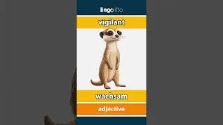 🇬🇧🇩🇪 vigilant - wachsam : learn English : Lernen wir Englisch : vocabulary builder