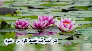AI Afghan Love Song ❤️ | Emotional AI Music #aimusic #aisong #afghansong #shorts