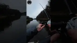 🤯 ЭТО ПЗД... 🤯 / Megabass SAZANKA / #shorts