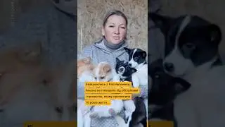 Евакуюючись, вивезла весь свій прихисток тварин