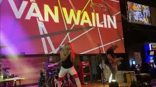 Van Wailin: Panama ! Chicago's #1 Van Halen Tribute Live at the Piazza, Aurora IL #shorts