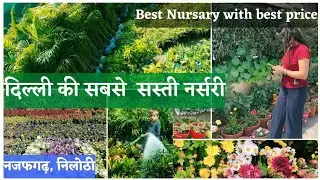 Cheapest Nursery in Delhi (Najafgarh Nilothi)💚 Must Visit  Once || #Nursary #Newdelhi #plantshopping