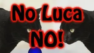 What Indie Hell: No Luca No