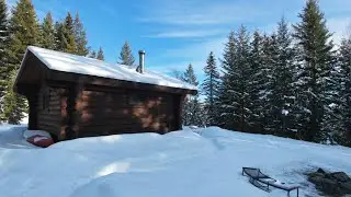 Flight Vlog #30 - Sunny day practice laps in the forest (@ the cabin) - DJI NEO2