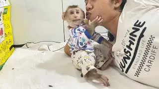DAM Hug & Kiss Very Warming On Mom After Treat Him