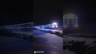 Metro-North Holiday Lights Train In The Woods (Pawling, New York) #shorts