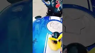 Patito motero