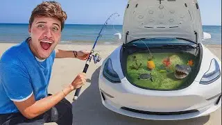 I Turned My Car Into a Real Fish Pond!