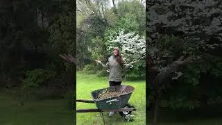 Realigning with Your Unique Inner Nature