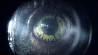 INFECTED | EPISODE 1 TRAILER | GRAYSON COATS