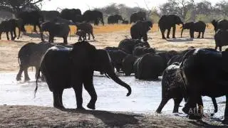 Somalisa Camp | Hwange National Park | Zimbabwe