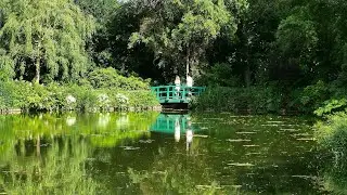 Giverny 吉維尼 (June 2025)