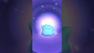 How to Find Shiny Ditto in Pok&eacute;mon GO (2025)