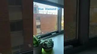 Blue diamond 💍