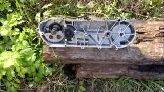 кишочки Skymoto Fortune 50