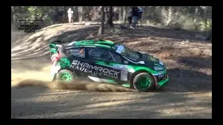 Rally of the Bay 2019 Pure Sound & Action
