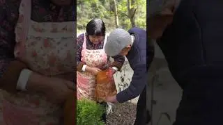 Indian shredded lemon chicken#cooking #crush#dailyshorts #viral#indian