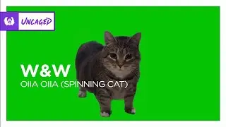 [Psytrance] - W&W - OIIA OIIA (Spinning Cat) [Monstercat Fanmade]