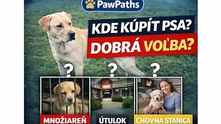 #002 Odkiaľ kúpiť psa? Pravda o množiarňach, útulkoch a chovných staniciach. 