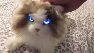 Metacat robot cat Review-Best pet therapy robot ever? Great squishy lap robot and light!