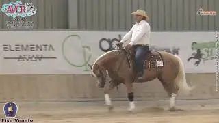 4 tappa AVCR 2024 - BASTIANELLO GIANNI & SMART SWEETIE FACE score 69,5