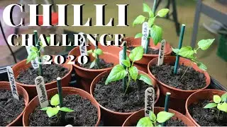The NEXT Tarantula HOT SAUCE chilli challenge - I'm upping the game for 2020