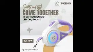 Retractable LED Dog Leash