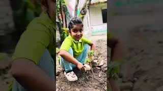 Happy world Environment Day #environmentday | Happy Home Montessori ❤️💚💖