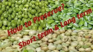 How to store Peas, Mochai & Karamani