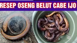 RESEP MASAK OSENG BELUT CABE IJO