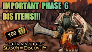 IMPORTANT PHASE 6 PROTECTION PALADIN BIS DISCUSSION - KNOW WHAT TO EXPECT AND PREPARE FOR