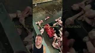 Como realmente s&atilde;o feita as salsichas...  #salsicha #lingui&ccedil;a #carne #curiosidades