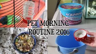 PET MORNING ROUTINE 2016