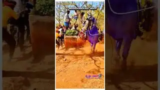 Kdm king 😱🔥 hori habba #horihabba #viral @FayazBulls19