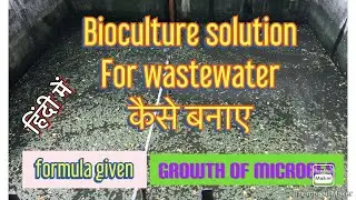 How to Make Bioculture solution ( in HINDI)