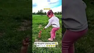 my daughter👧 playing with😂 rat🐀 #funny #baby #usa #cute #foryou #funnymoment #rat
