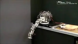 Universal Spatial Robotic Tail (USRT)