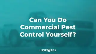 Can You Do Commercial Pest Control Yourself?