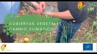 CUBIERTAS VEGETALES