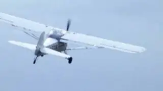 Beagle Terrier Take Off
