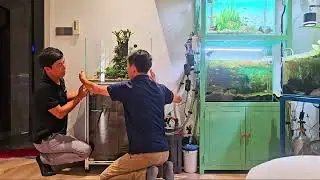 Ultra-Clean Aquascape Setup | Hidden In&ndash;Out Filtration + Aluminum Frame Tank Build
