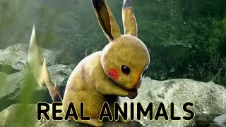 POKEMON CHARACTERS BASED ON REAL ANIMALS | Infoman PH