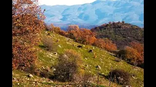 Symphony No 6, Op 68 - 3rd Movement - Ludwig Van Beethoven