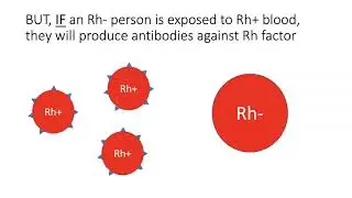 Rh Factor