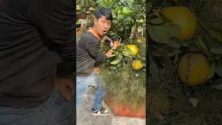 Trẻ tr&acirc;u ch&aacute;n đời l&agrave;m mất khẩu n&aacute; vip 14 cực mạnh mua hơn 300 triệu v&agrave; c&aacute;i kết #funny #videoshort