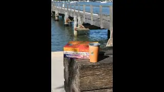 Penguin Summer reads!