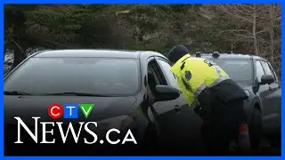 N.L. police set up checkpoints ahead of New Year&rsquo;s Eve