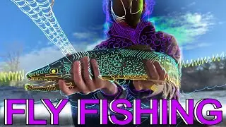 Fly Fishing x Large Trout in Utah Desert