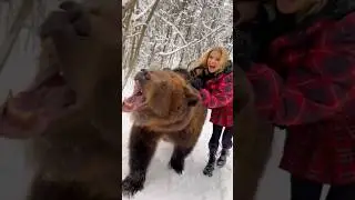 Beauty and The Beast #trending #youtubeshorts #viral #shorts #wildlife #beauty #bear @PetZoo840