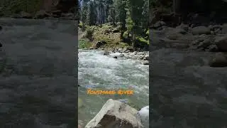#yousmarg #river #greenery #kashmir #kashmirvalley #shortsfeed #shorts